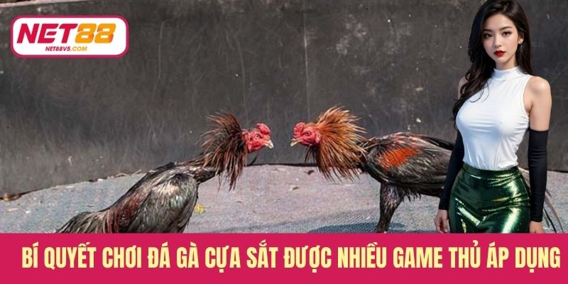 Bí quyết chơi đá gà cựa sắt được nhiều game thủ áp dụng