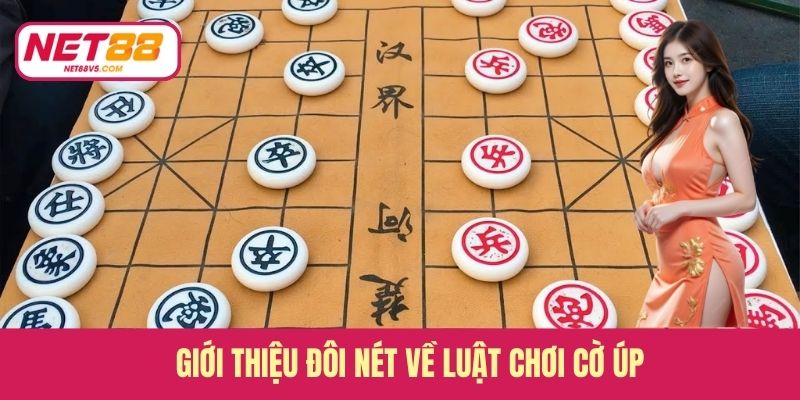 Giới thiệu đôi nét về luật chơi cờ úp