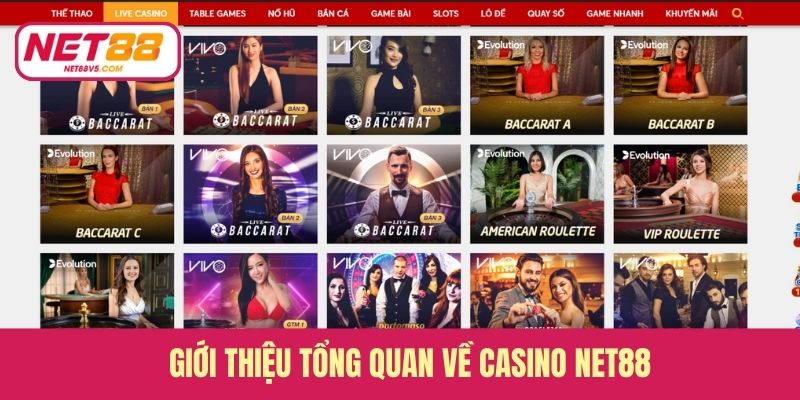 Giới thiệu tổng quan về casino Net88