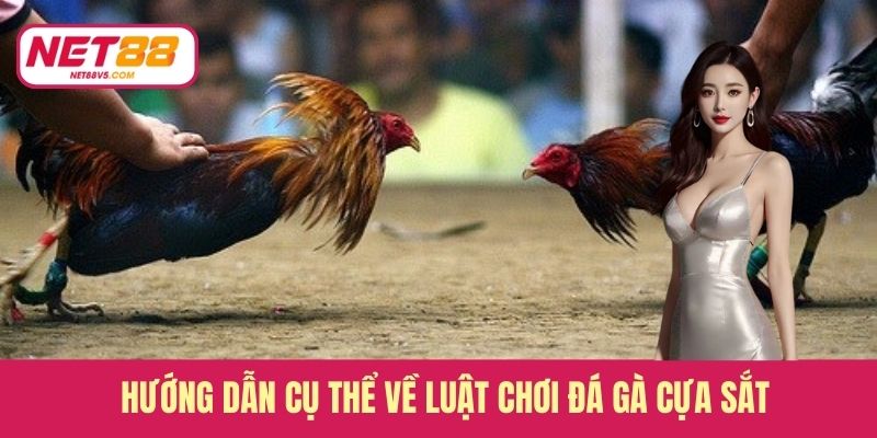 Hướng dẫn cụ thể về luật chơi đá gà cựa sắt 