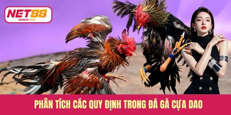 Phân tích các quy định trong đá gà cựa dao