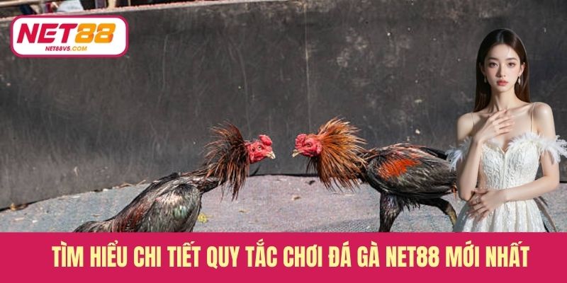 Tìm hiểu chi tiết quy tắc chơi đá gà Net88 mới nhất